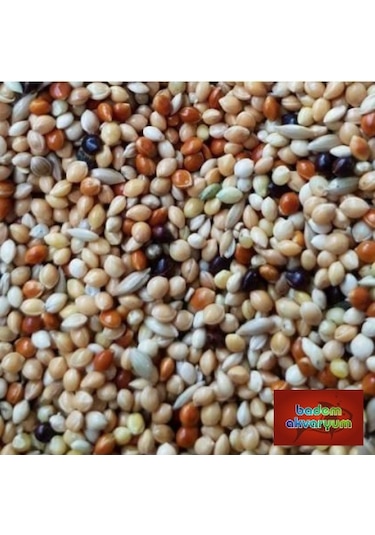 Premium Karışık Muhabbet Kuşu Yemi 1 Kg Kaliteli