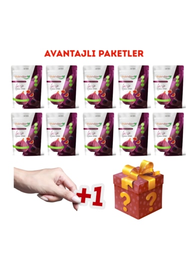 Freeze Dried İncir Dilimleri 10'lu Paket 20 G 20 G
