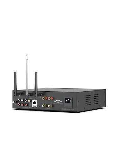 Arylic A100 Stream Amfi