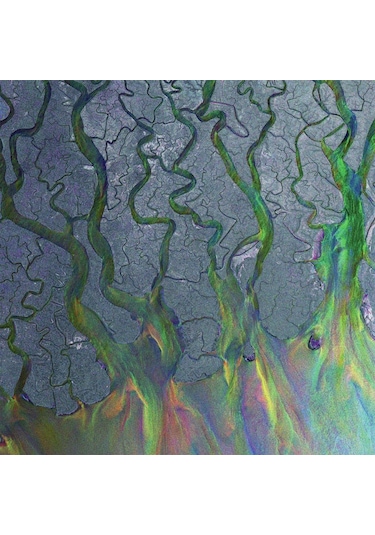 Alt-j - An Awesome Wave White Vinyl / Plak