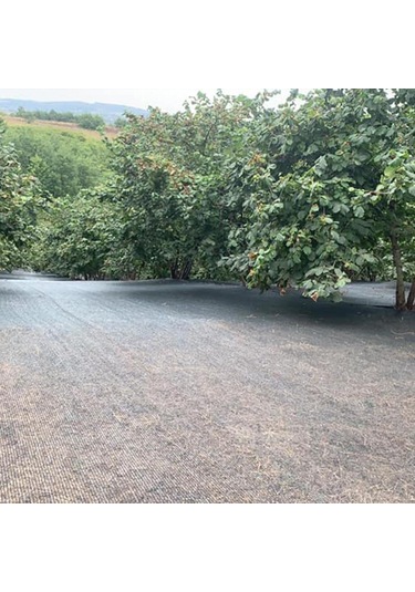 2x20 Metre Fındık Sergisi Fındık Toplama Filesi Fındık Kurutma Örtüsü 40'lık Gölgelik Fındık Altı File Hasat Taban Örtüsü