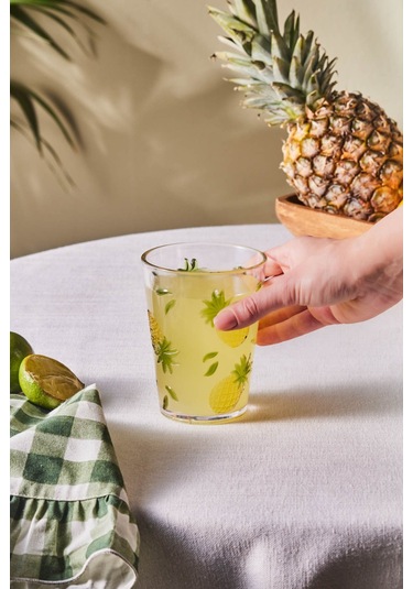 Karaca  Pina Akrilik Su Bardağı 440 ml Şeffaf