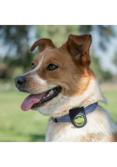 Airtag Raptic Anchor Serisi Klipsli Airtag Kılıfı Siyah Siyah