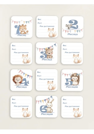 Copyroomgifts Fotoğraf Çekimi İçin Kâğıtlar 1 330890241 Diğer