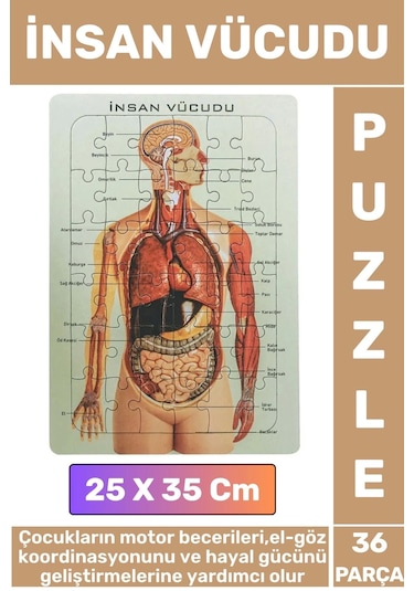 Eğitici Eğlenceli El-göz Koordinasyonu Motor Becerisi Geliştiren 36 Parça Puzzle İnsan Vücudu