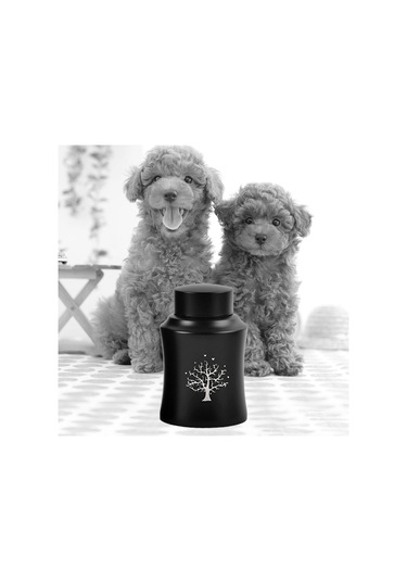 Homyl Pet Urn Kremasyon Hatıra Çömlekleri Kutusu Büyük Altın