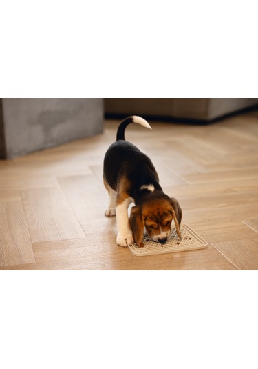 Beeztees Yavru Köpek Yaş Mama Yeme Oyuncağı, Kare, Silikon, Gri, 20x20cm