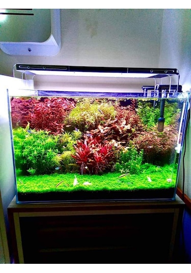 Armatürk 2050H Akvaryum Armatürü 50 CM