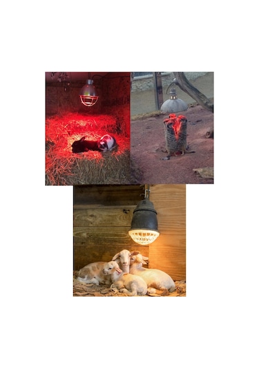 1 Adet Philips 250w Kızılötesi İnfrared Isıtıcılı Hayvan Isıtma Ve Fizik Tedavi Lambası Kırmızı Işık E27 Kalın Duy