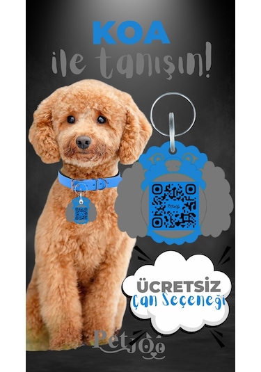 Petjoo 14.Koa Gri-Mavi Qr'lı Köpek Künyesi