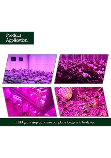 Moly 5m 5050 Smd Bitki Büyüme Işık Şeridi - 60 Led/m - Kırmızı-mavi Ip20 Dc12v Sera/hidroponik Diğer