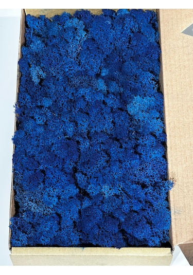 Reindermoss Şoklanmış Norveç Yosunu Terarium Yosunu Mavi 5 Kg.