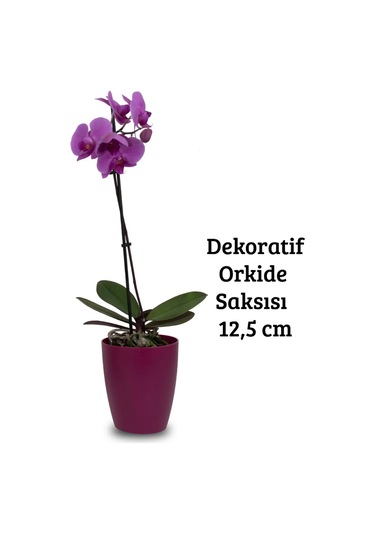 Vişne Orkide Saksısı Dekoratif Dış Saksı 1 Adet- 12 Pot Şeffaf Orkide Üretim Saksısı Hediyeli Vişne Saksı