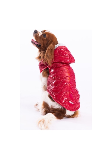 Pawstar Kırmızı Light Wave Anorak Yelek Köpek Yeleği