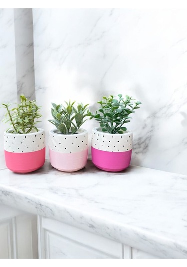 Renkli Saksı Seti Sukulent Kaktüs Dekoratif Eşya- Ev Dekorasyon - Saksı Seti 2
