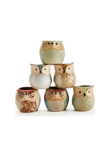 6 Adet Baykuş Etli Saksı Karikatür Başparmak Pot Taş Nefes