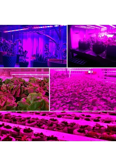 Didadodo Pembe Mor Renkli, 5v Abs Malzeme Işık Şeridi - 0.5m/1.0m/2.0m/3.0m Uzunluk, 30/60/120/180 Işık Boncuk Seçenekleri, Renkli Işık Şeridi Diğer