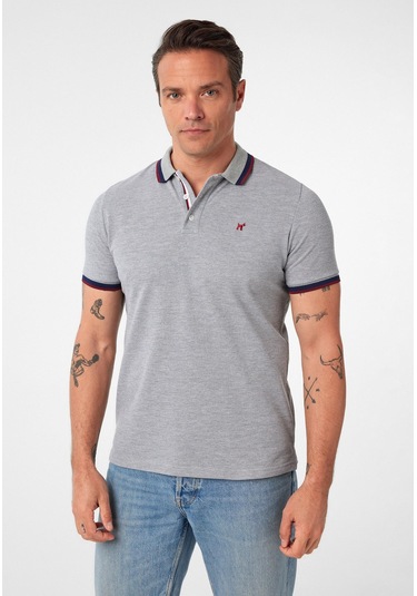 Javeir Erkek Regular Fit Çizgi Detaylı Polo Yaka T-shirt Gri