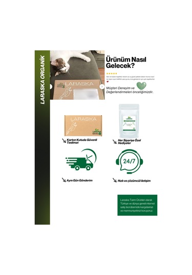 Laraska Kabak Çekirdeği İçi Çiğ 1 KG