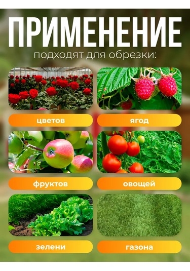 Evrogarant Çim Ve Çalı Makası 220713958