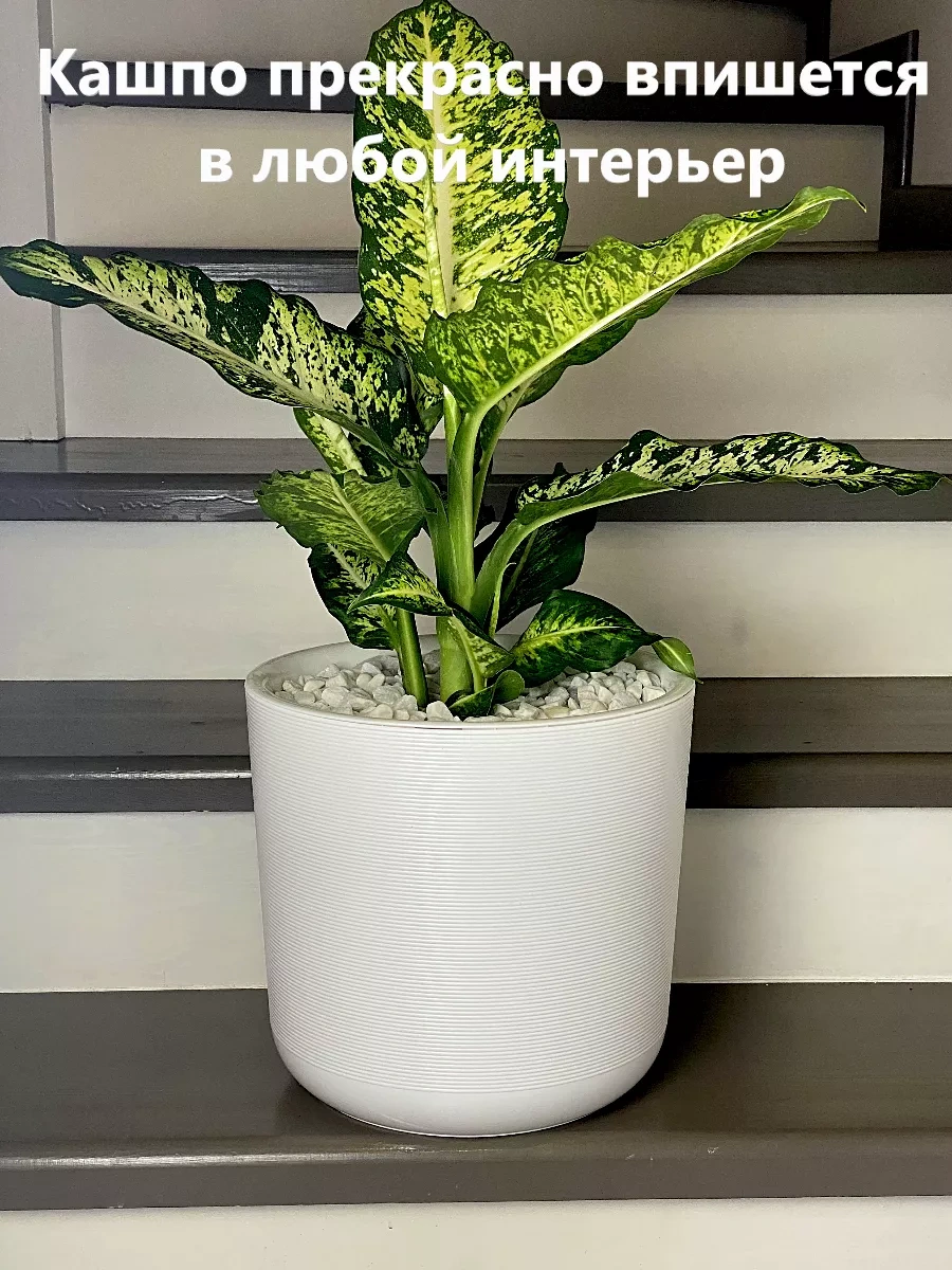 Live-in-green Ev İçin Saksı/zemin/çiçek Saksısı/plastik/büyük 166957247