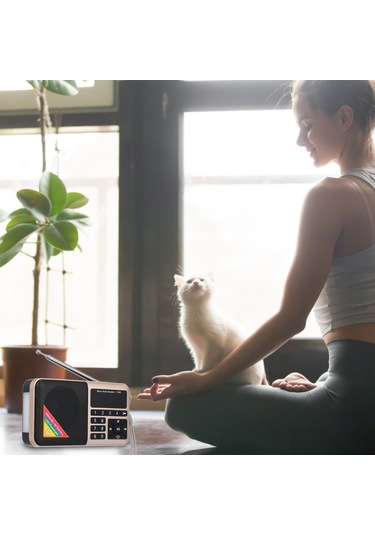 Springsun Y-509 Modeli Fm Radyo: Led Fenerli, Mp3 Çalar, 1500mah Şarj Edilebilir Pil Ve Usb Kablosu İçeren Taşınabilir Cihaz