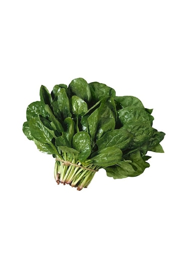 Yerli Ispanak Tohumu 25 GR Ort 2000 Ad N1130