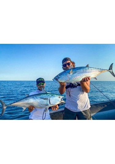 Jack Fin Pelagus 120-S Sahte Yem Acciuga