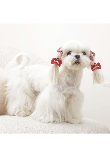 M-pets Glam Fiyonklu Kedi Ve Köpekler İçin Aksesuar Toka Kırmızı Mor