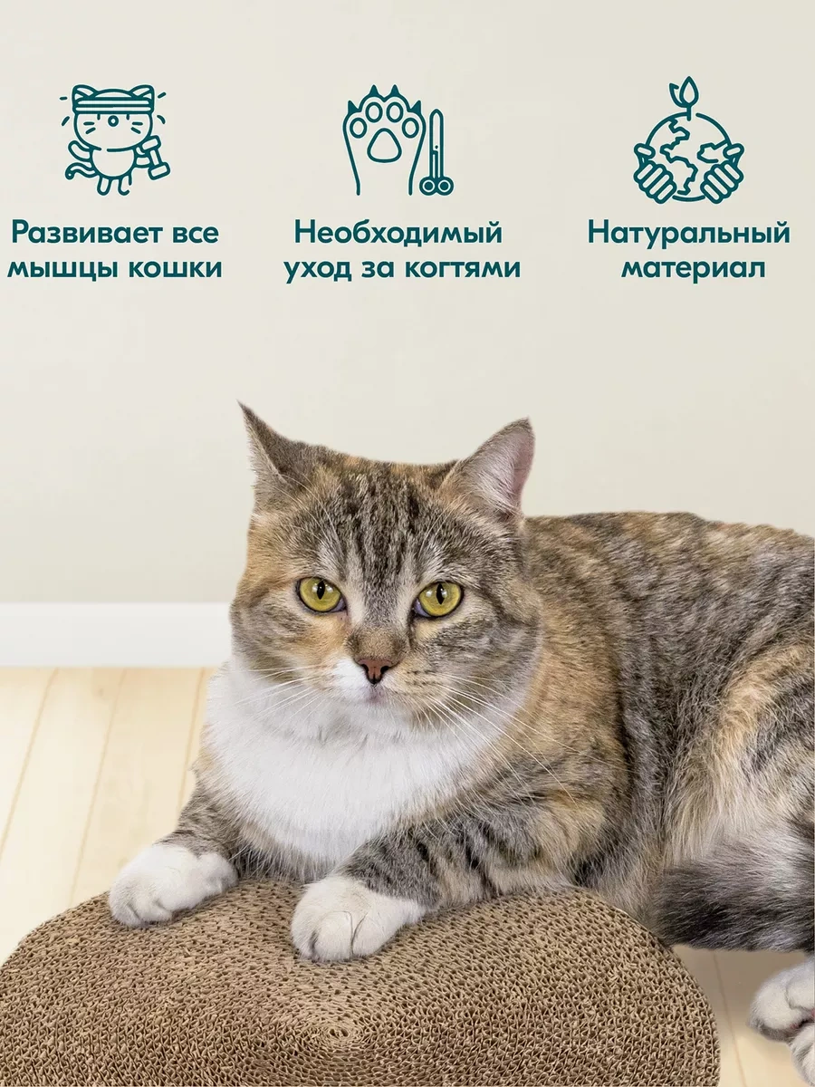 Pettails Karton Oluklu Mukavva İle Emprenye Edilmiş Kedi Tırmalama Tahtası 160445076