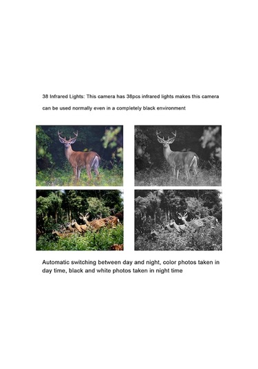 Pazly Yüksek Kalite Avcılık Kamerası 16mp 1080p Taşınabilir Gündüz Gece İz Kamerası Çok Renkli