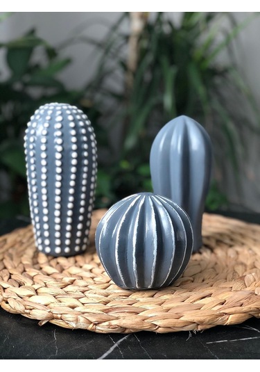 Thiramis Dekoratif 3'lü Kaktüs Gri Beyaz Detay