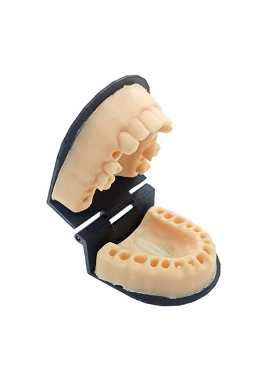 Barışhan Medikal Silikon Çene Diş Dikiş Modeli Ortodontik Alt Üst Çene Periodontal Sütür Eğitim Modeli-4