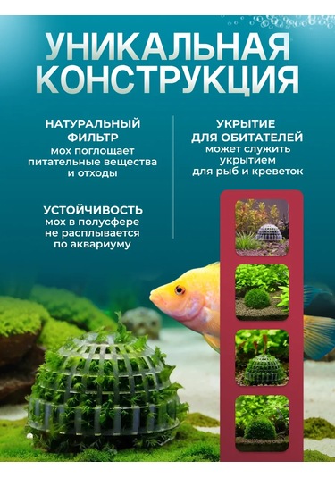 Vse Fish Yarımküre - Yosun İçin Akvaryum Tüneli 421837227