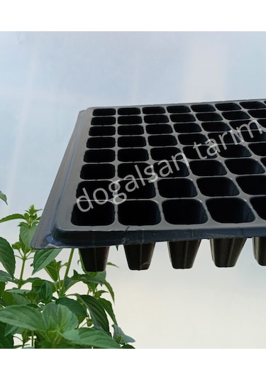 20 Adet Fide Viyol 128 Göz Fide Viyolü Fide Viyolleri Fidelik