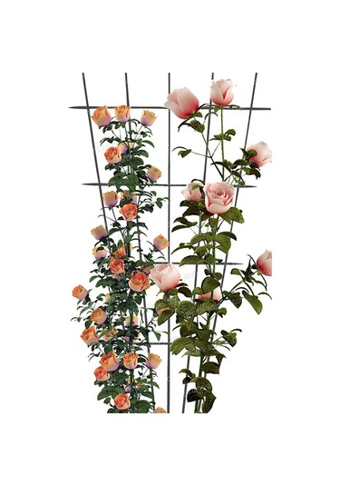 Lebihmurah 2139 Bitki Destek Çerçevesi Kafes Tırmanma Dıy Çiçek Sarmaşıklar Pot Standı Bahçe Aletleri Güneş Işığı Süper Mağaza