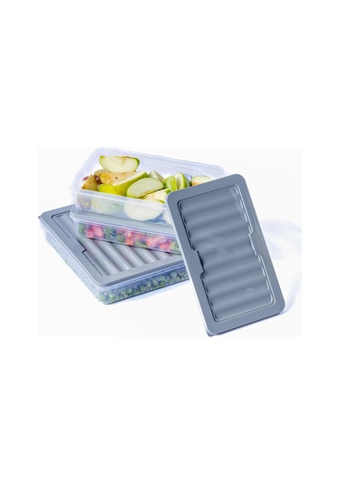 Ny Home 3'lü Set-4 Freshbox Mikrodalga Ve Difrize Uygun Saklama Kabı Gri