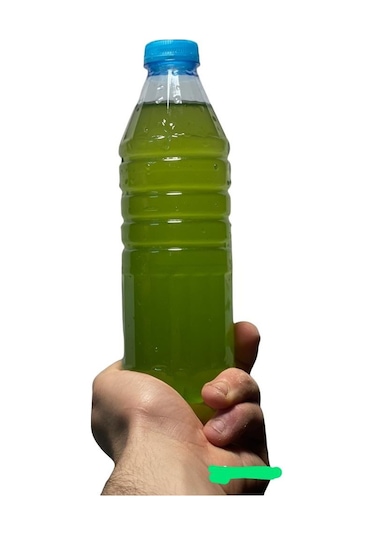 Yeşil Su Su Piresi Yemi 500 ML