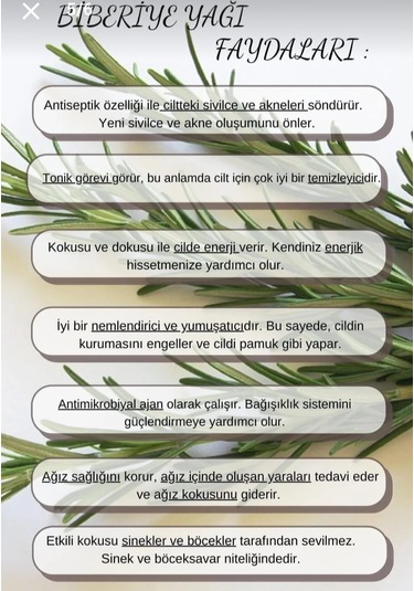 Lavendrose Biberiye Yağı %100 Bitkisel