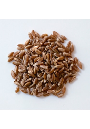 Kappadokia Atalık Kızıl Buğday Dinkel Spelt Un 5 KG