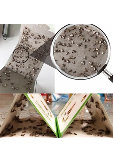 Güveler Feromon Öldürücü Haşere Sinek Böcekleri Reddetmek 5 Adet Elbise Kiler Gıda G Tuzağı Benler Etiket Haşere Öldürücü 56379833