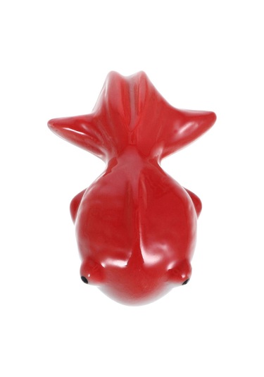 Akvaryum Dekorasyon Fikirleri, Su Özellikleri İçin Güvenli Serami