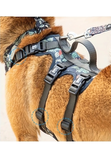 Honeybeeshop L Harness Ayarlanabilir Köpek Tasması Tasma Bandana Yaka Küçük Büyük Irklar İçin Nefes Alabilir Yumuşak Yürüyüş Ekipmanı Altın