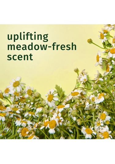 Herbal Essences Shine Brillance Chamomile Şampuan 865ml Tüm Saçlar