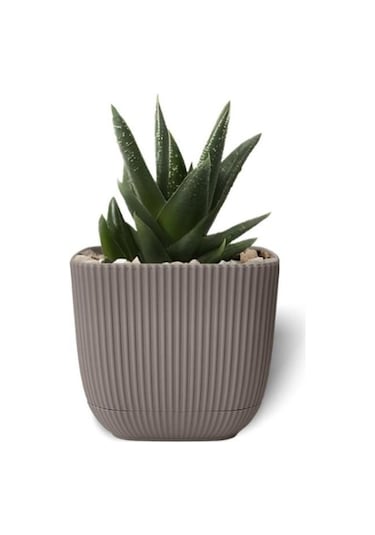 Omnipazar Krs-384 Dekoratif Plastik Mercan Kare Saksı 4 Litre No 4 Kahverengi