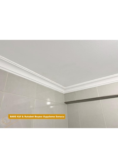 Bars Küf Ve Rutubet Boyası 750 Ml. - Beyaz