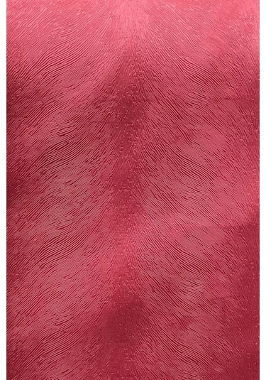 Enesar Home Tay Tüyü Premium Döşemelik Kumaş Taytüyü Koyu Kırmızı 100 x 140 cm