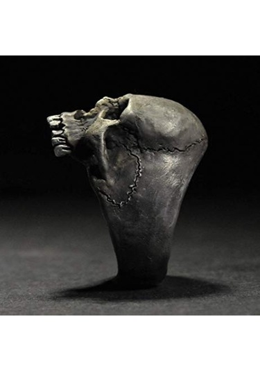 Sones C56213 2 Adet Punk Vintage Kafatası Yüzük Korku Kafatası Yüzük Erkek Hediyesi, Boyut: 12 Teneke Rengi