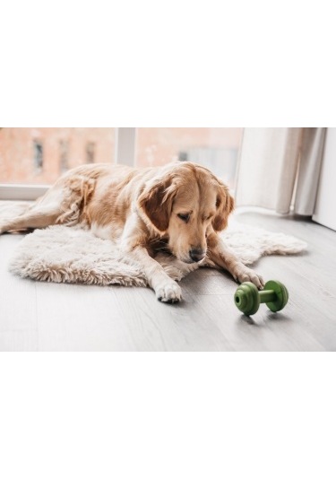 Beeztees Sumo Halter Şekilde Dental Oyuncak 13x7 Cm