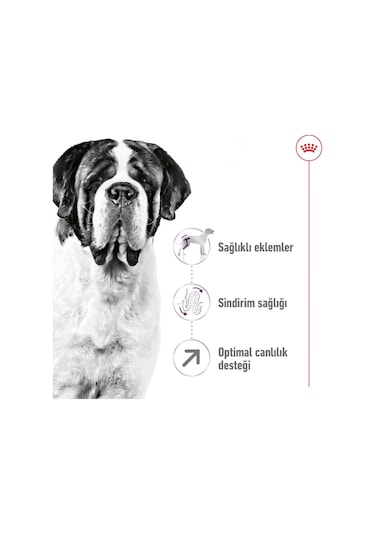 Royal Canin Giant Dev Irk Yetişkin Köpek Maması 15 KG